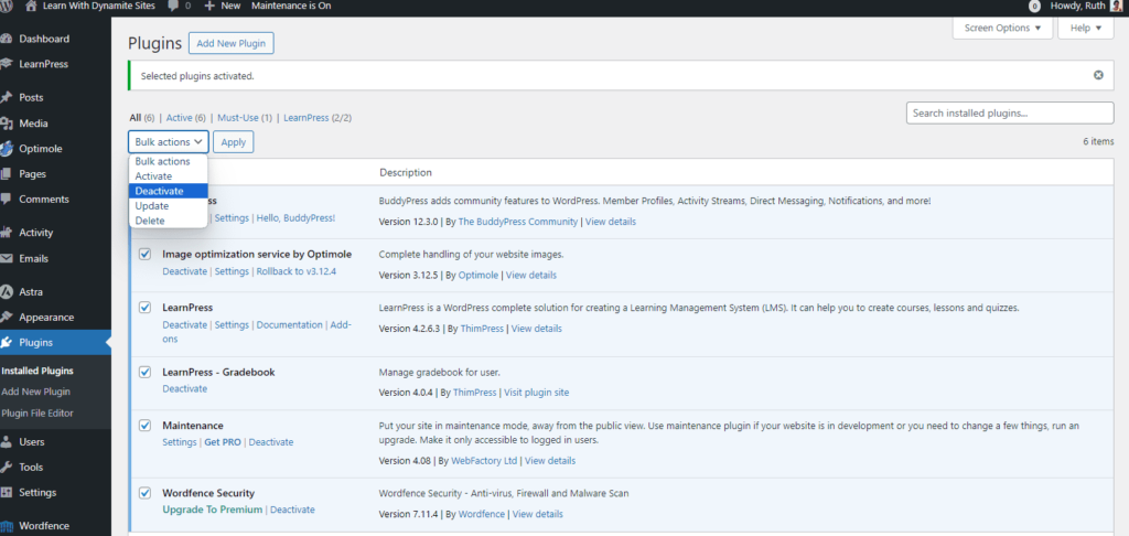 Deactivating plugins